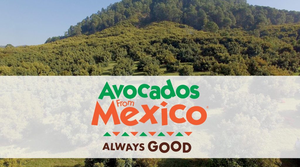 Avocados From Mexico Projects Record 2.5B Pounds For Season