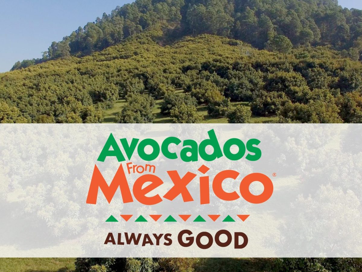 Avocados From Mexico Projects 2.5B Pounds For 2025-26 Season