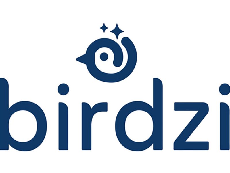 Birdzi Launches Natural Language BI Tool, AskKea