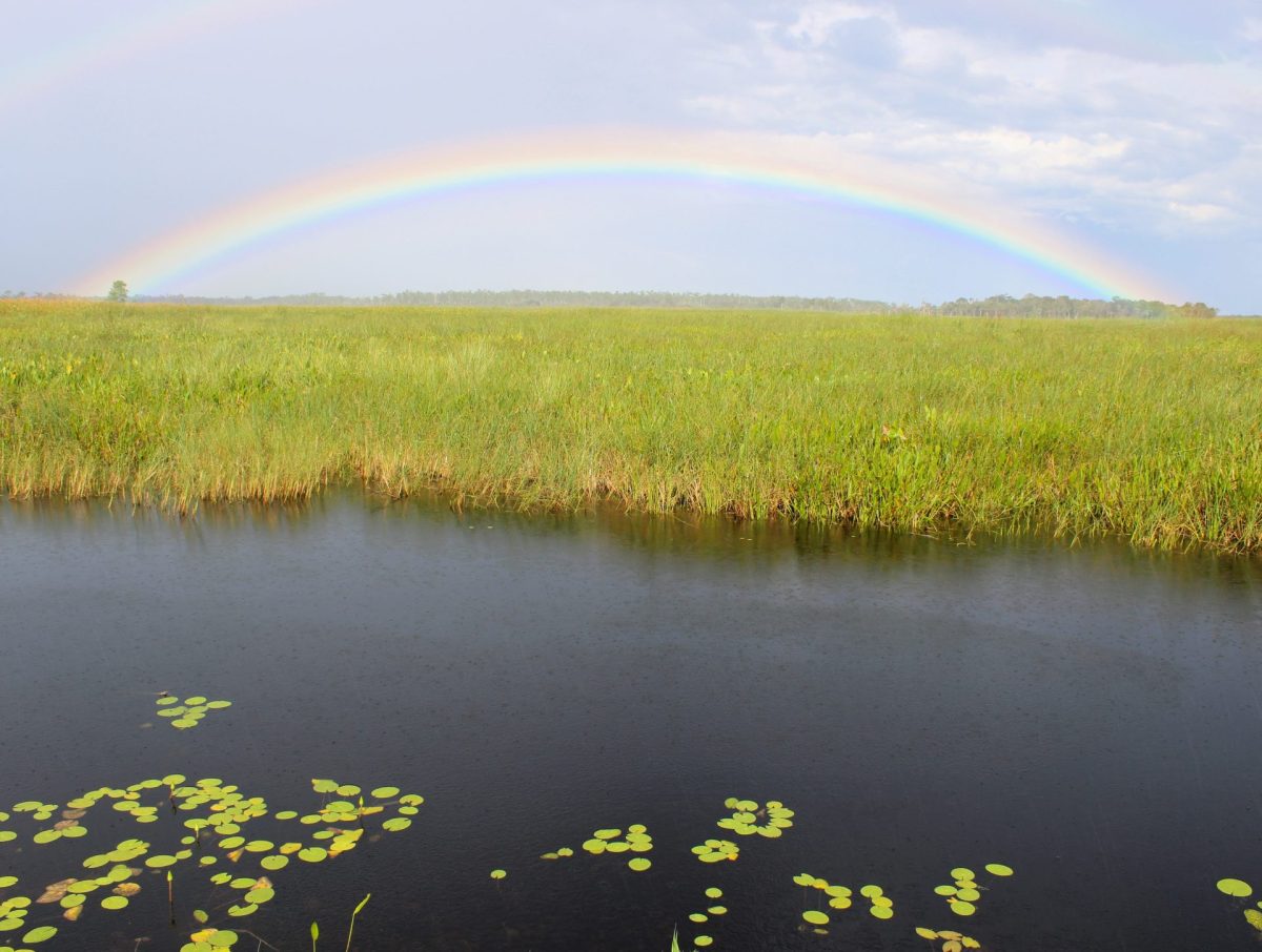 Publix everglades restoration