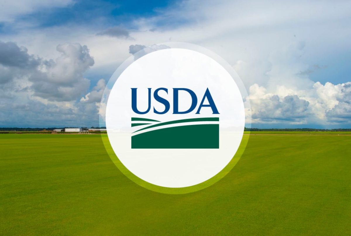 USDA logo
