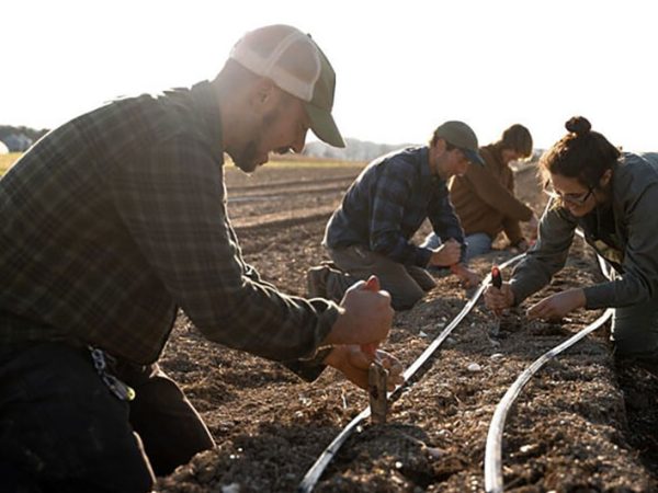 Natural Grocers, Rodale Institute Launch Annual Ladybug Love Campaign