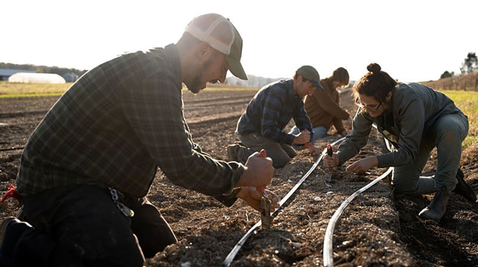 photo of farmers planting in field in Natural Foods and Rodale Institute partnership