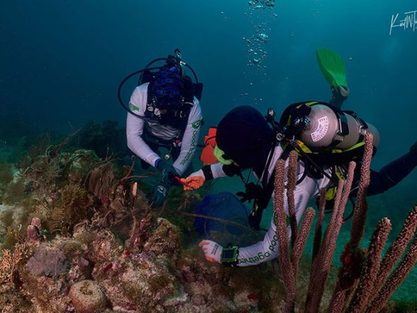 Publix Marks World Ocean Day With 56K Pounds Of Marine Debris Removed