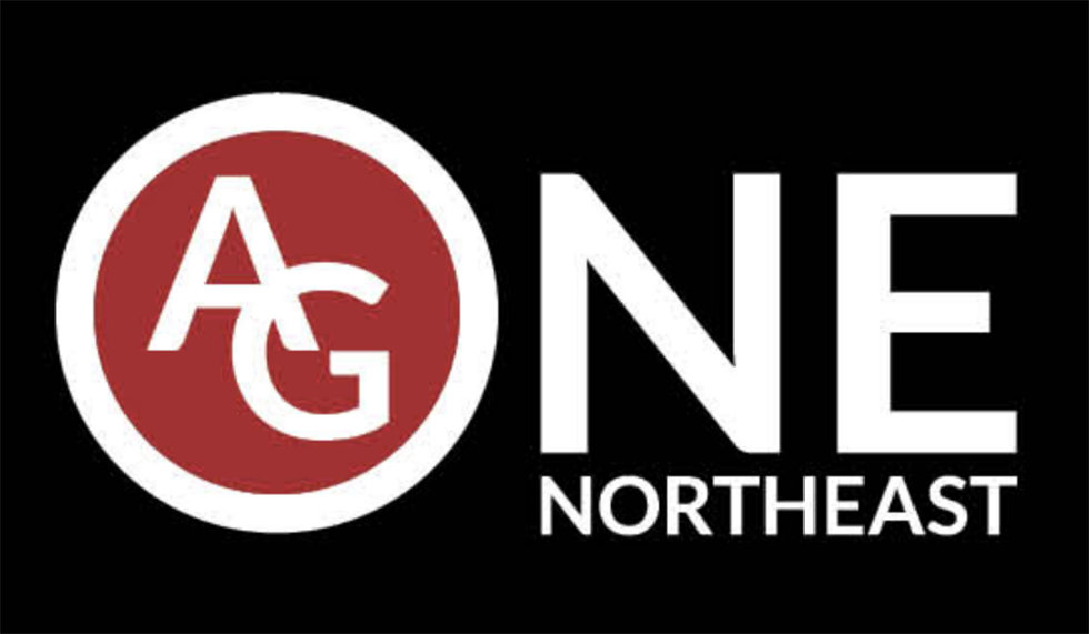 AGNE updated logo