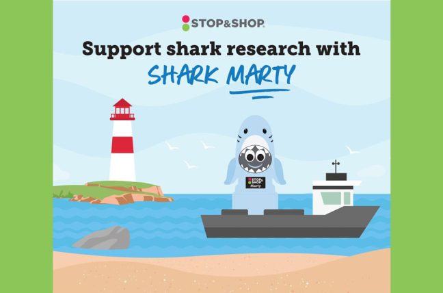 Stop & Shop Supports Shark Conservation With Plushie Fundraiser