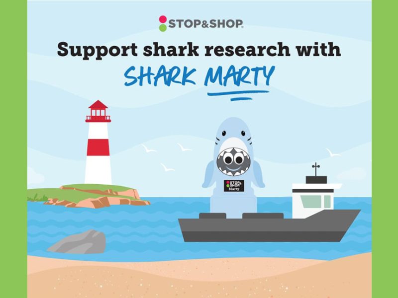 Stop & Shop Supports Shark Conservation With Plushie Fundraiser