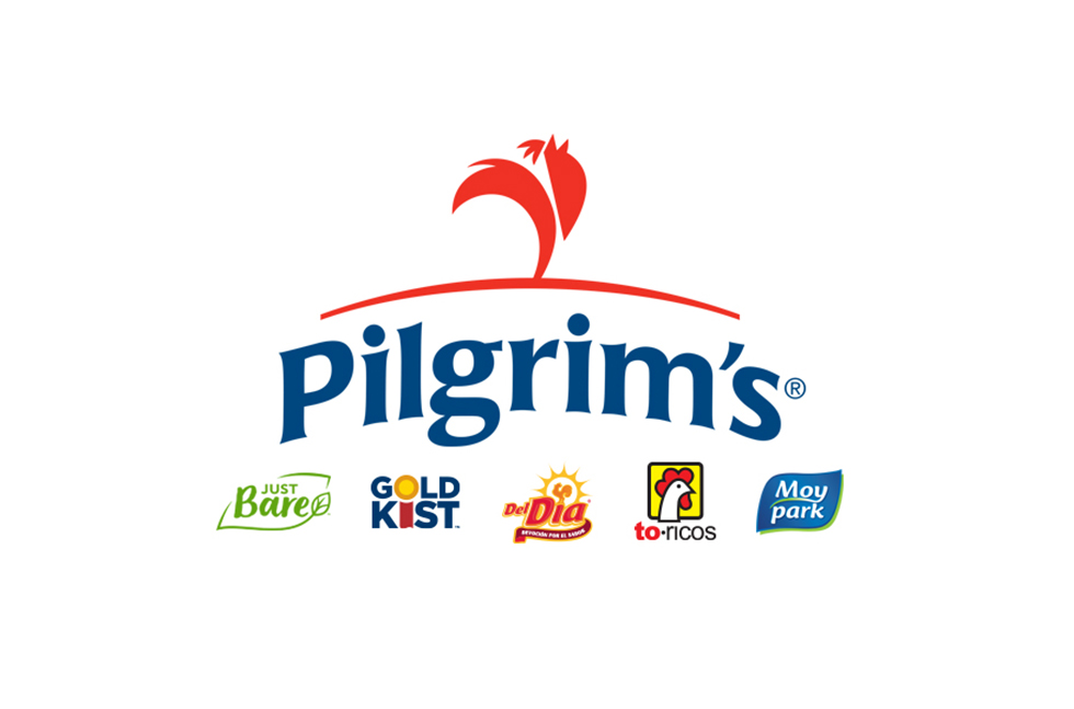 pilgrims logo