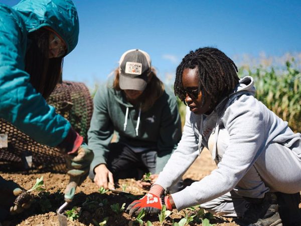 Natural Grocers Marks Organic Month With Rodale Institute Fundraiser