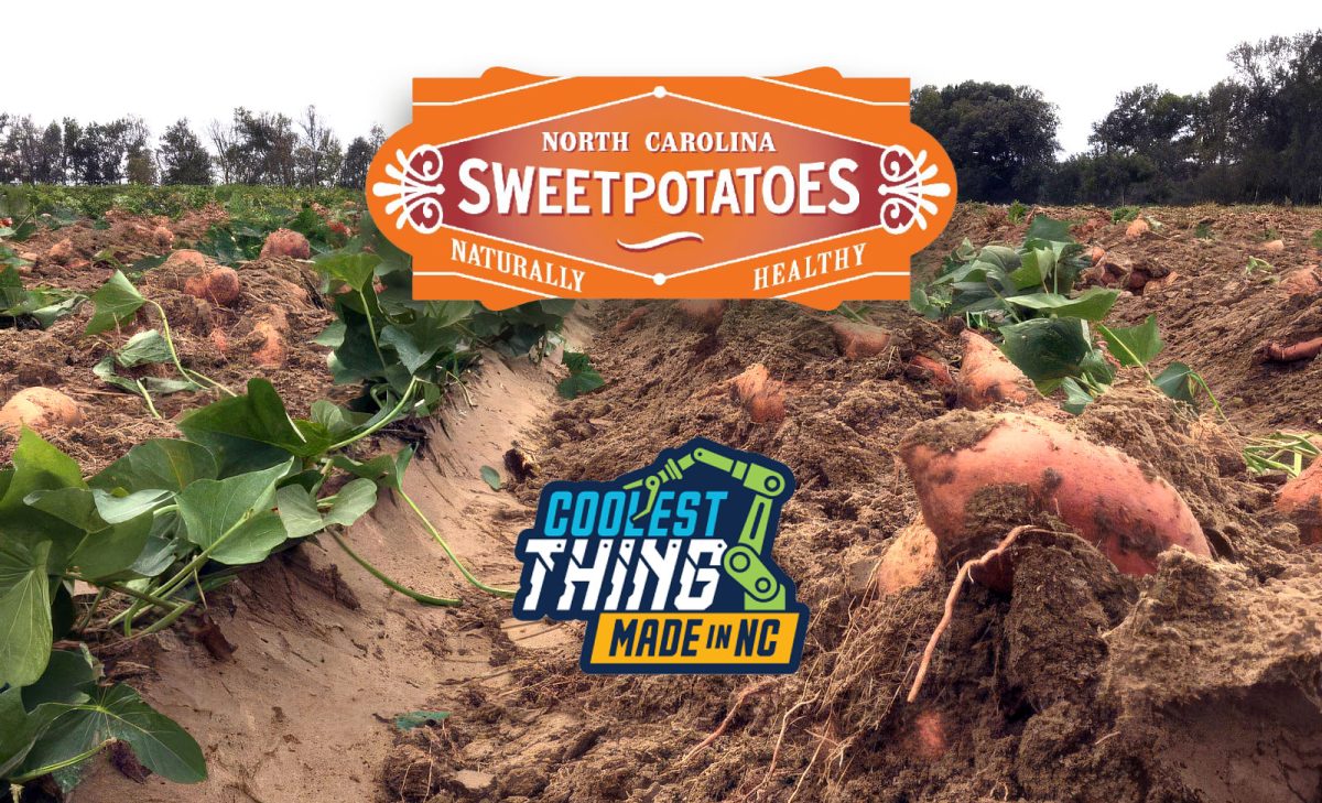 North Carolina sweetpotatoes logo with a background image of sweetpotatoes field