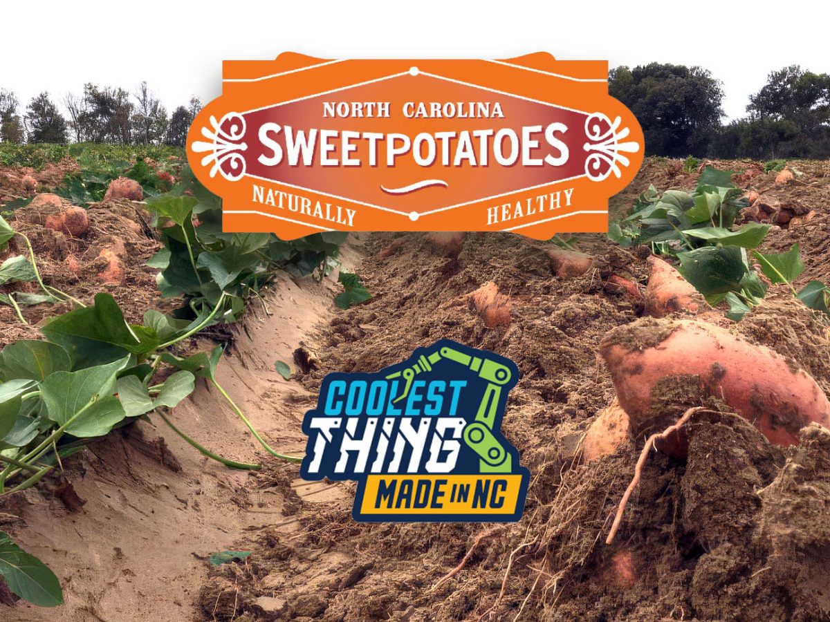 NC Sweetpotatoes In The Running For Coolest Thing Made In NC