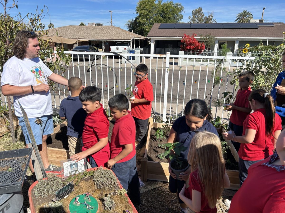 Bashas' school garden